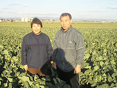 減農薬でブロッコリーを作っている筑紫農園の筑紫廣志さん夫妻